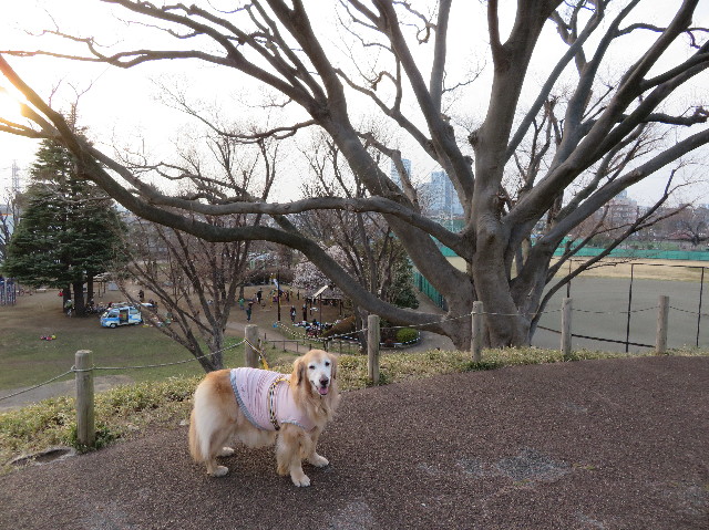 ファイル 6127-3.jpg