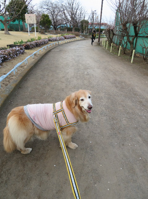 ファイル 6127-4.jpg