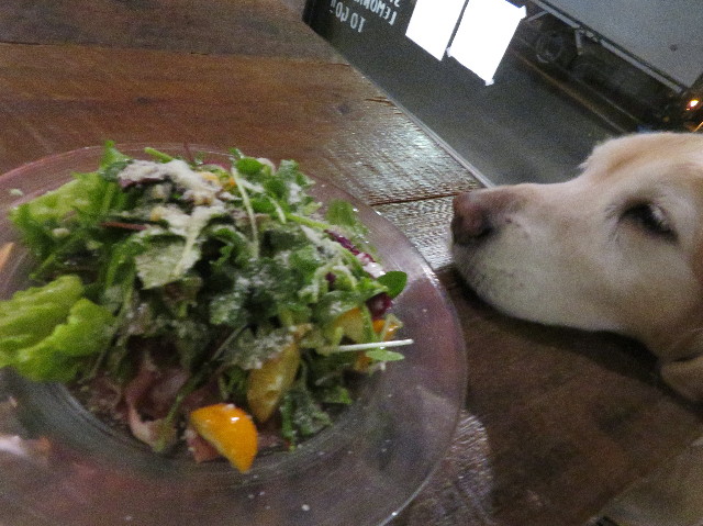 ファイル 6128-2.jpg