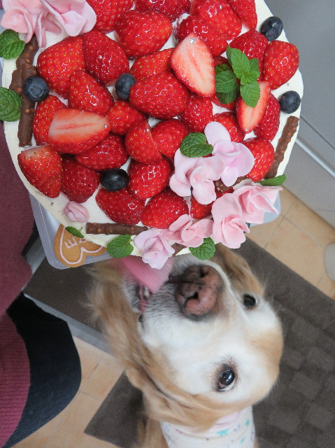 ファイル 6129-2.jpg