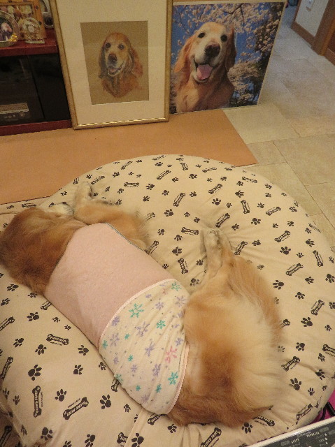 ファイル 6129-5.jpg