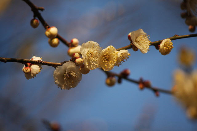 ファイル 613-4.jpg