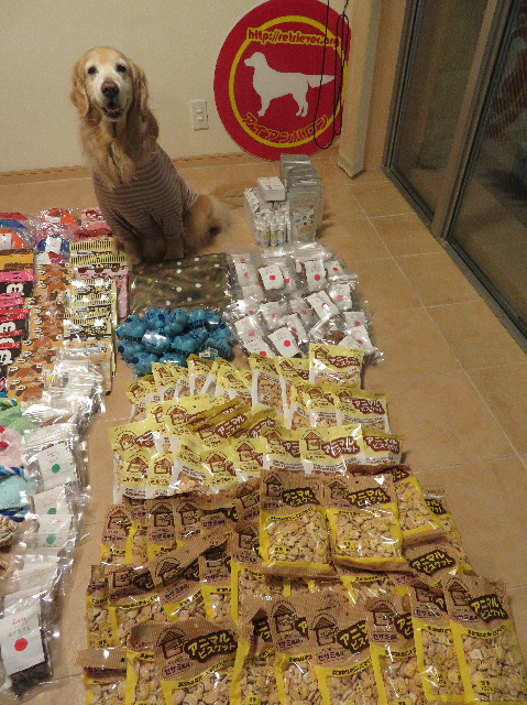 ファイル 6131-5.jpg