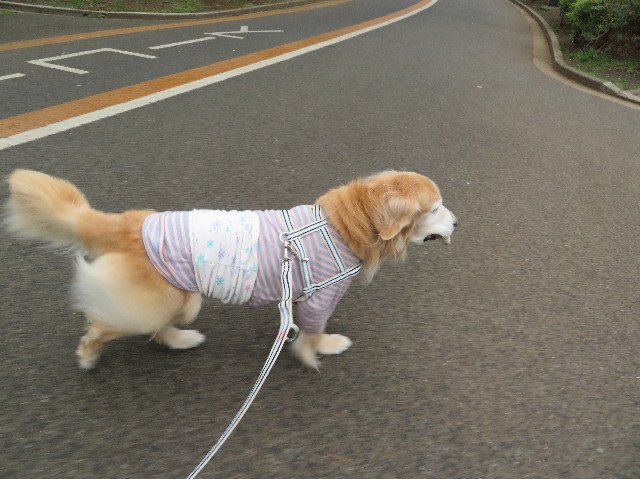 ファイル 6132-2.jpg