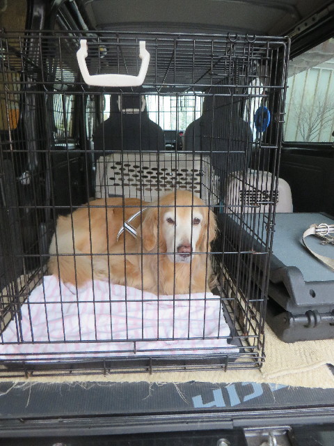 ファイル 6132-4.jpg