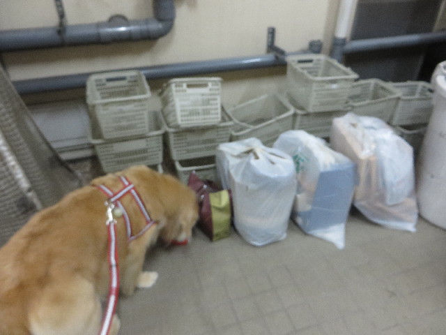 ファイル 6133-3.jpg