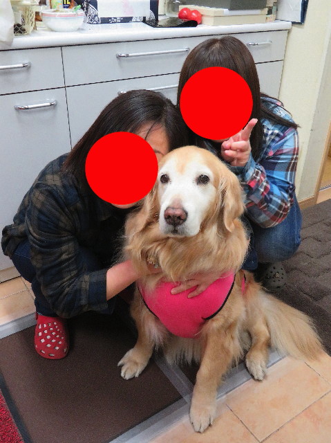 ファイル 6133-5.jpg