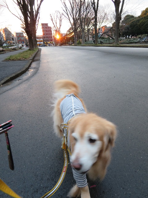 ファイル 6134-3.jpg