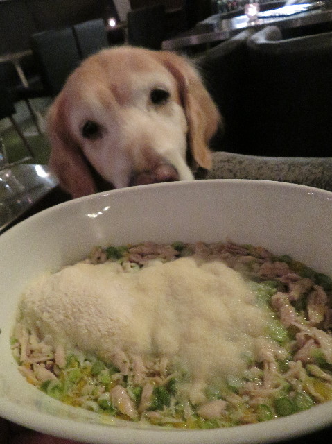 ファイル 6134-5.jpg