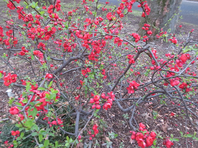 ファイル 6135-4.jpg