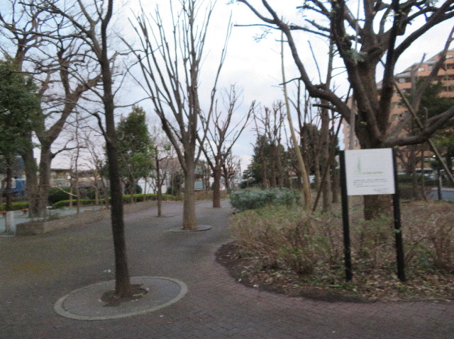 ファイル 6135-5.jpg