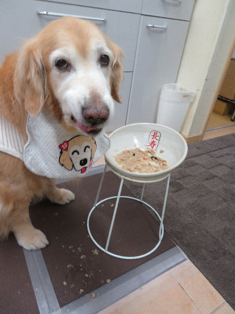 ファイル 6136-1.jpg