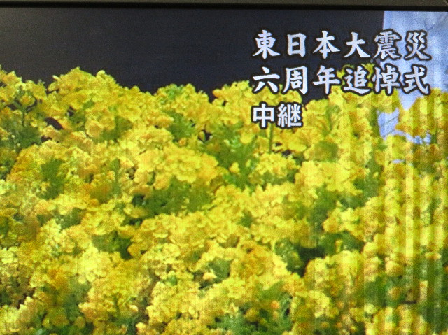 ファイル 6137-1.jpg