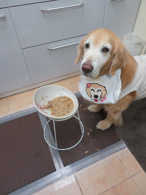 ファイル 6138-1.jpg