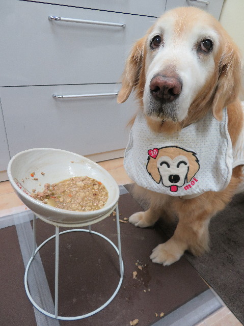 ファイル 6138-3.jpg