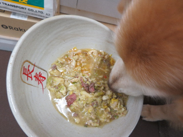 ファイル 6138-5.jpg