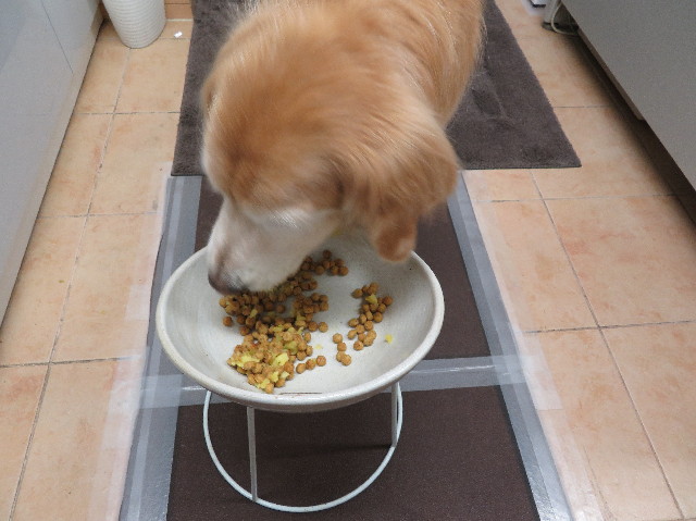 ファイル 6139-3.jpg