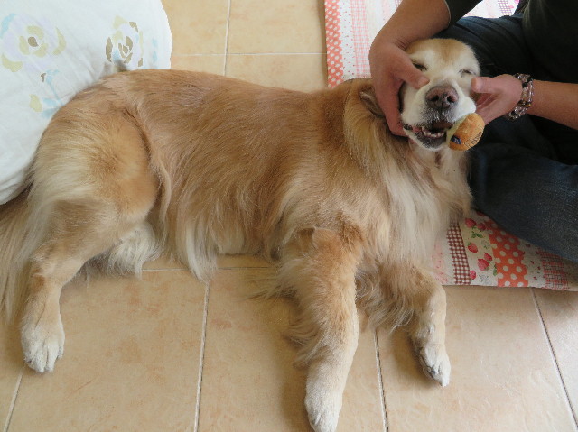 ファイル 6139-4.jpg