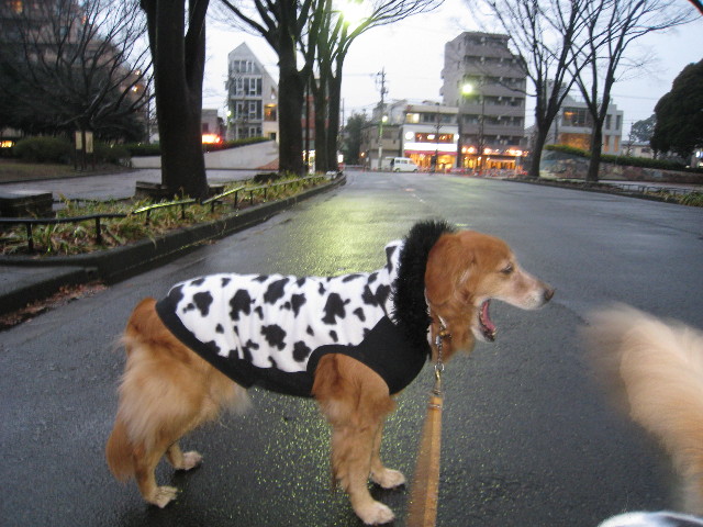 ファイル 614-2.jpg