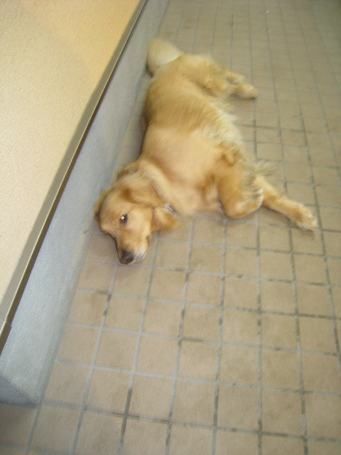 ファイル 614-5.jpg