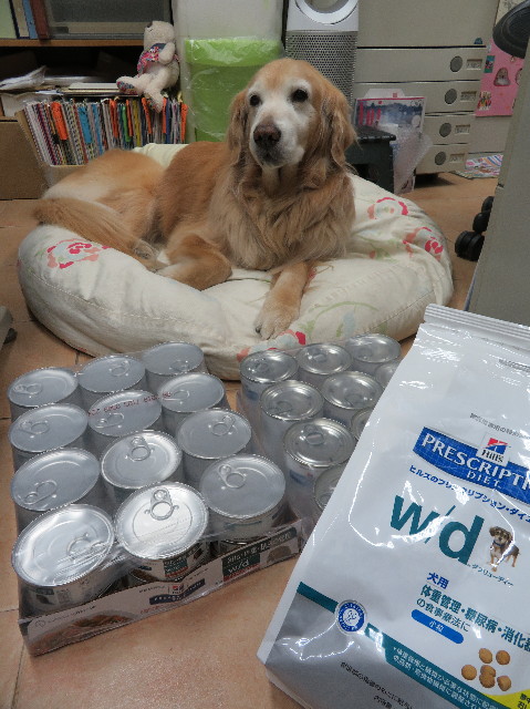 ファイル 6140-2.jpg