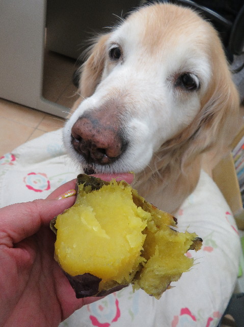 ファイル 6140-3.jpg