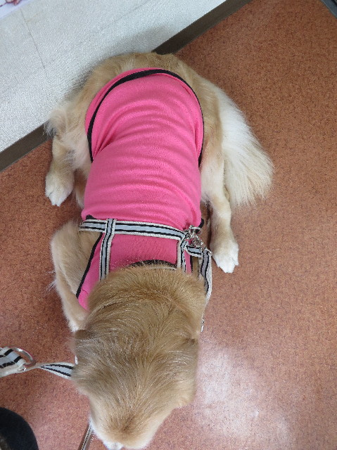 ファイル 6141-4.jpg