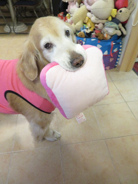 ファイル 6142-3.jpg