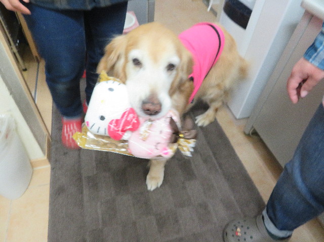 ファイル 6142-5.jpg