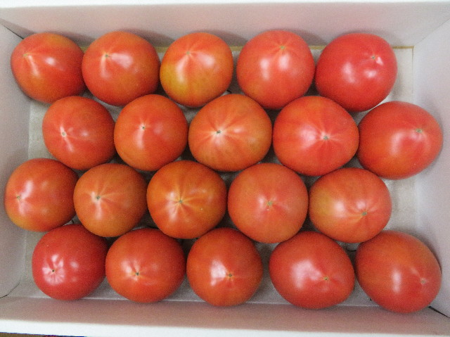 ファイル 6143-2.jpg