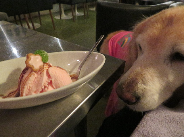 ファイル 6143-5.jpg