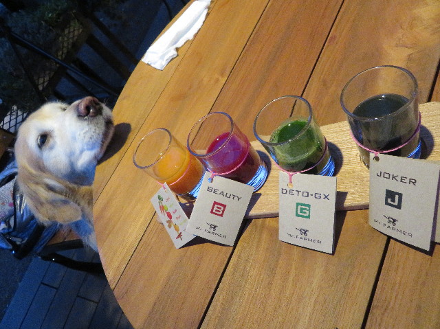 ファイル 6144-4.jpg