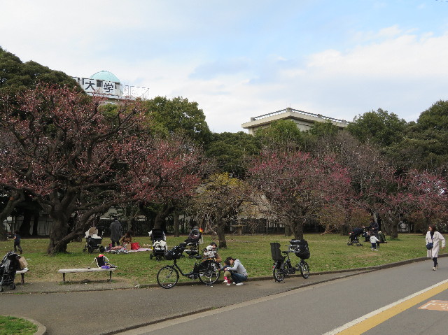 ファイル 6145-1.jpg