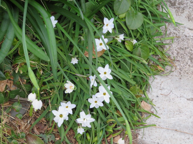 ファイル 6147-3.jpg