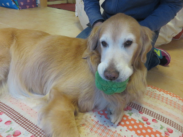 ファイル 6148-1.jpg