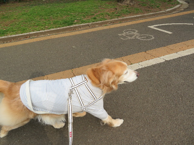 ファイル 6148-2.jpg