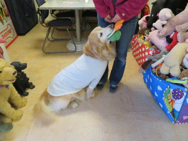 ファイル 6148-3.jpg