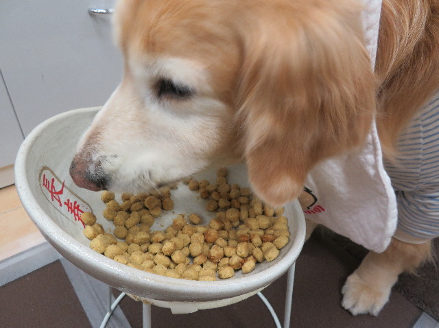 ファイル 6148-4.jpg