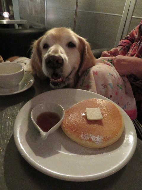 ファイル 6148-5.jpg