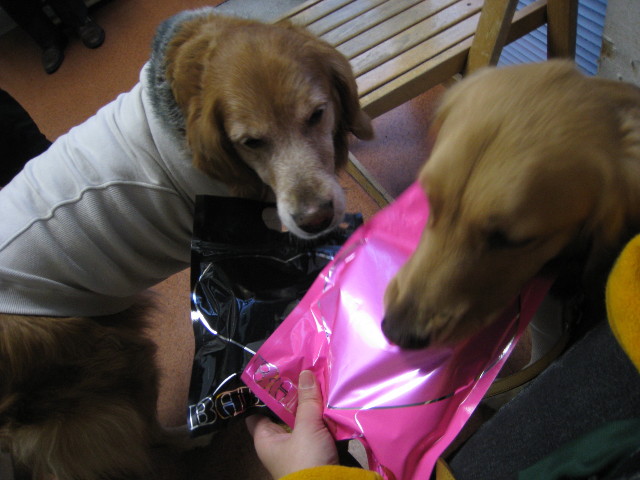 ファイル 615-5.jpg