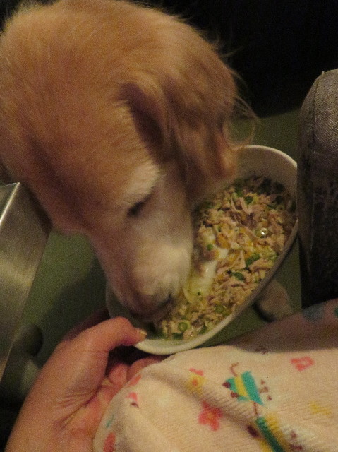 ファイル 6150-2.jpg