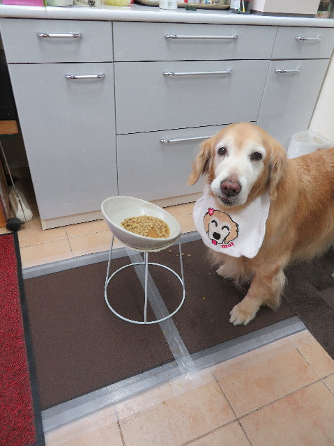 ファイル 6151-1.jpg