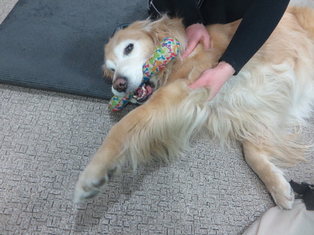 ファイル 6151-2.jpg