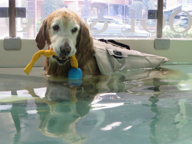 ファイル 6151-3.jpg