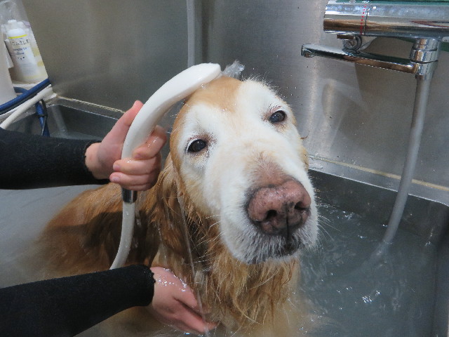 ファイル 6151-5.jpg