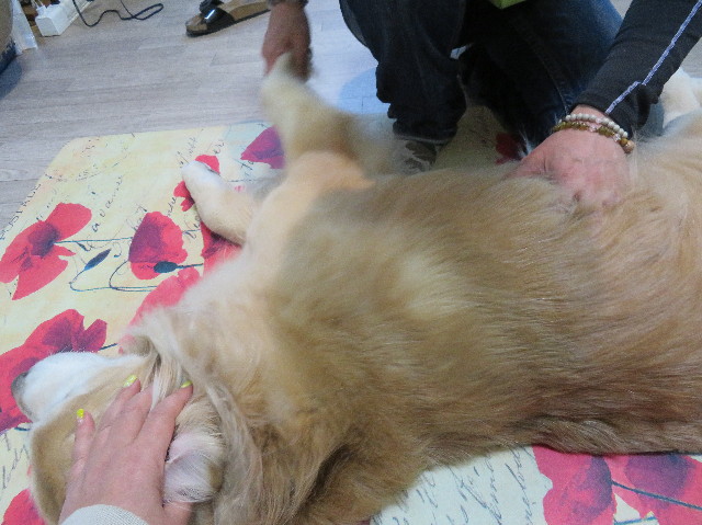 ファイル 6152-1.jpg