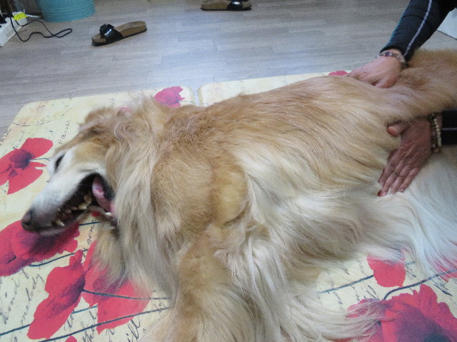 ファイル 6152-2.jpg