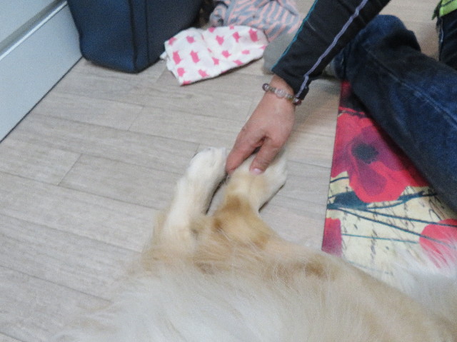 ファイル 6152-3.jpg