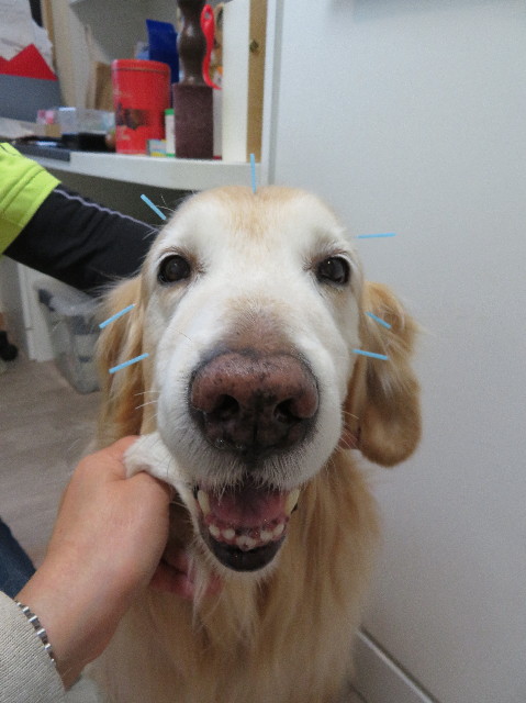 ファイル 6152-5.jpg