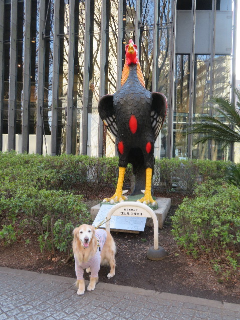 ファイル 6153-1.jpg